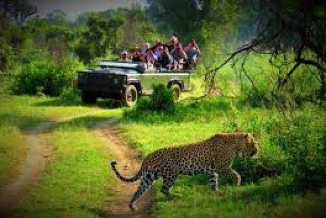 chitwan National park