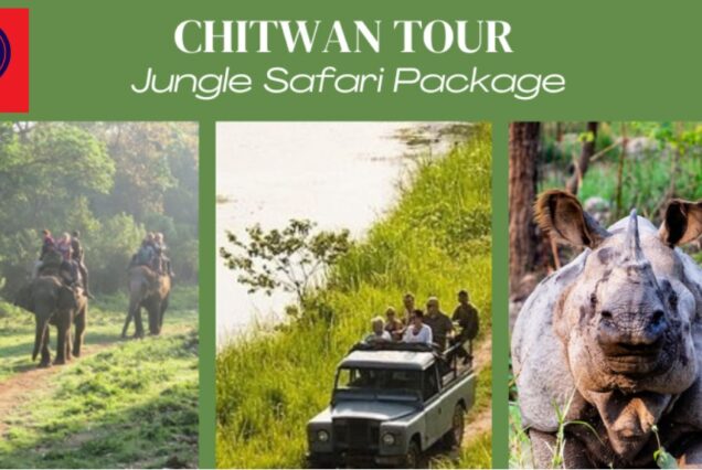 Chitwan tour Packages, jungle safari