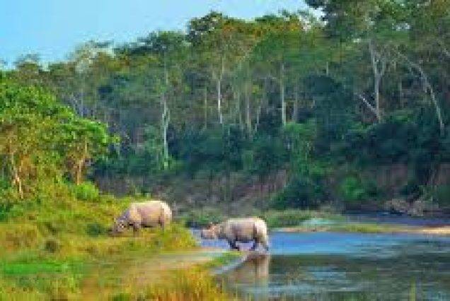 chitwan park