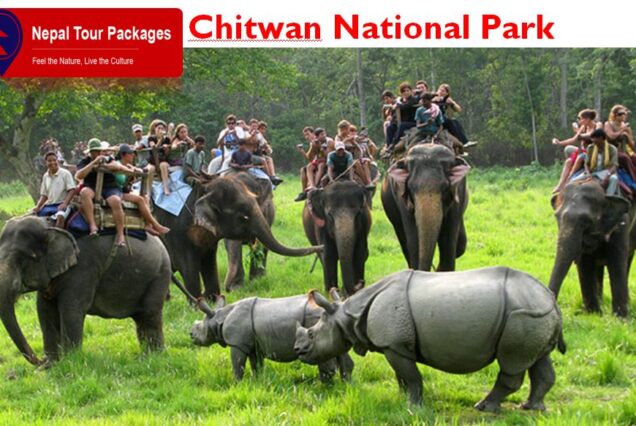 chitwan park nepal