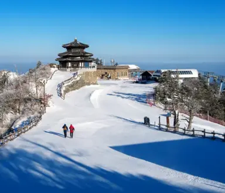 Nepal Tour Packages